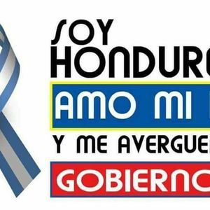 Meet your Posher, Arnoldo